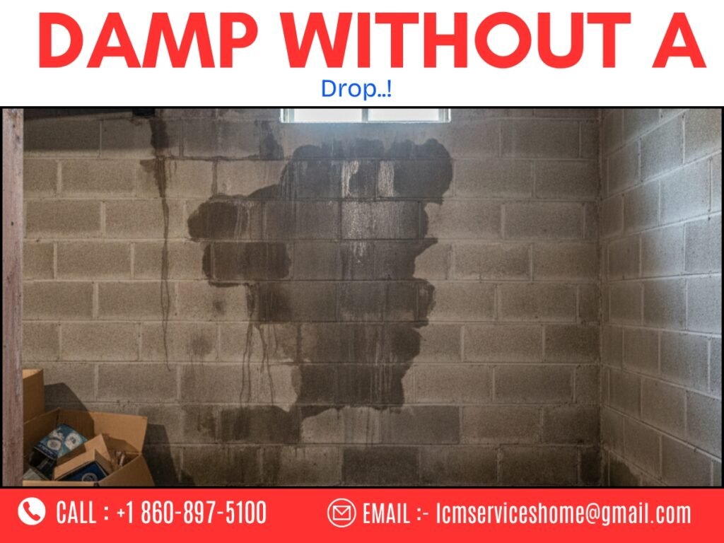 Damp basement in Waterbury CT home without visible flooding